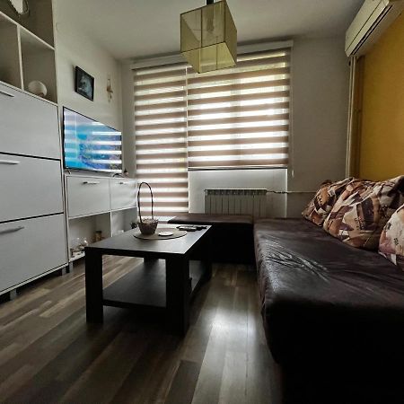 Appartement Sova à Vrsac Extérieur photo