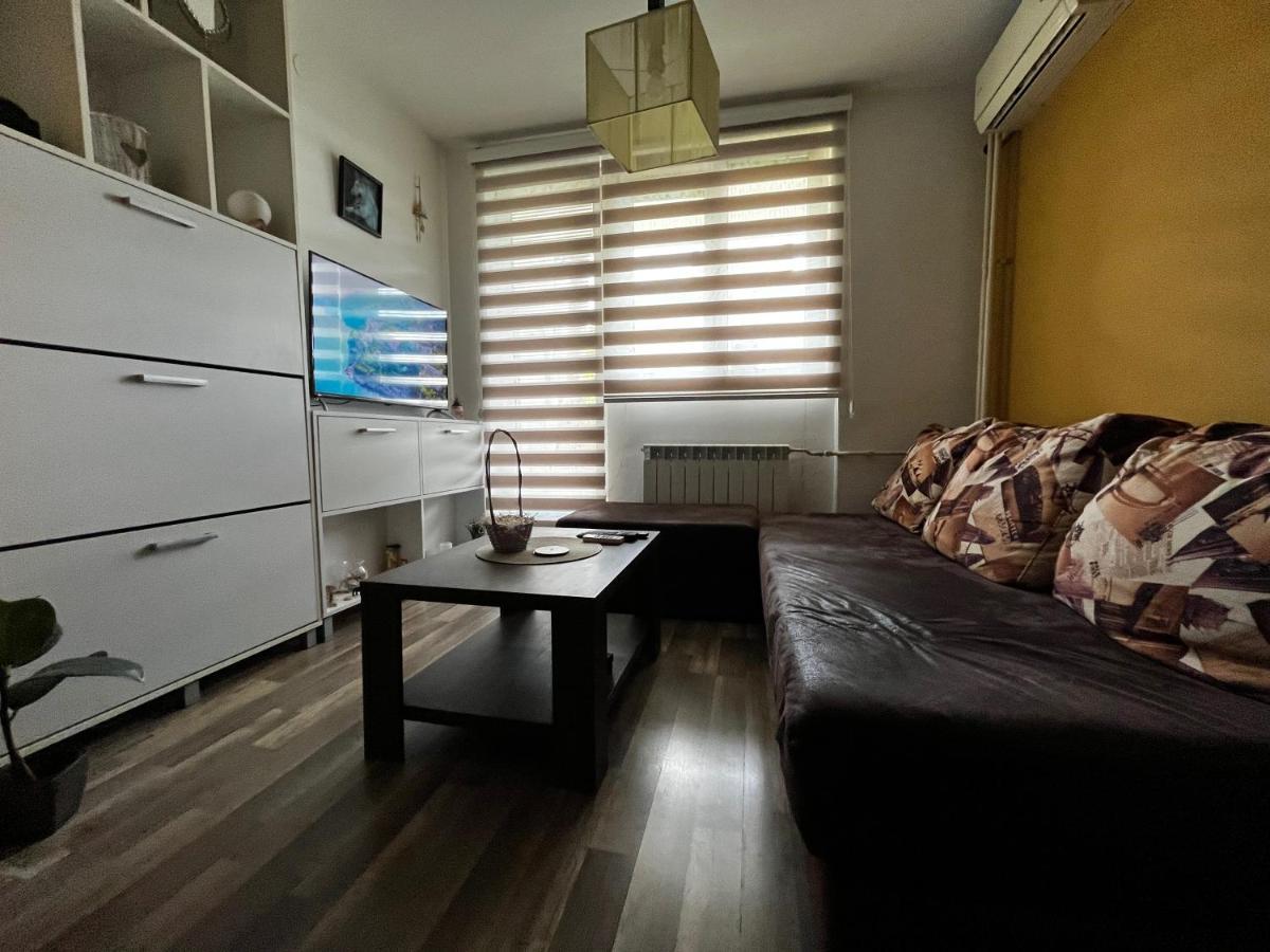 Appartement Sova à Vrsac Extérieur photo