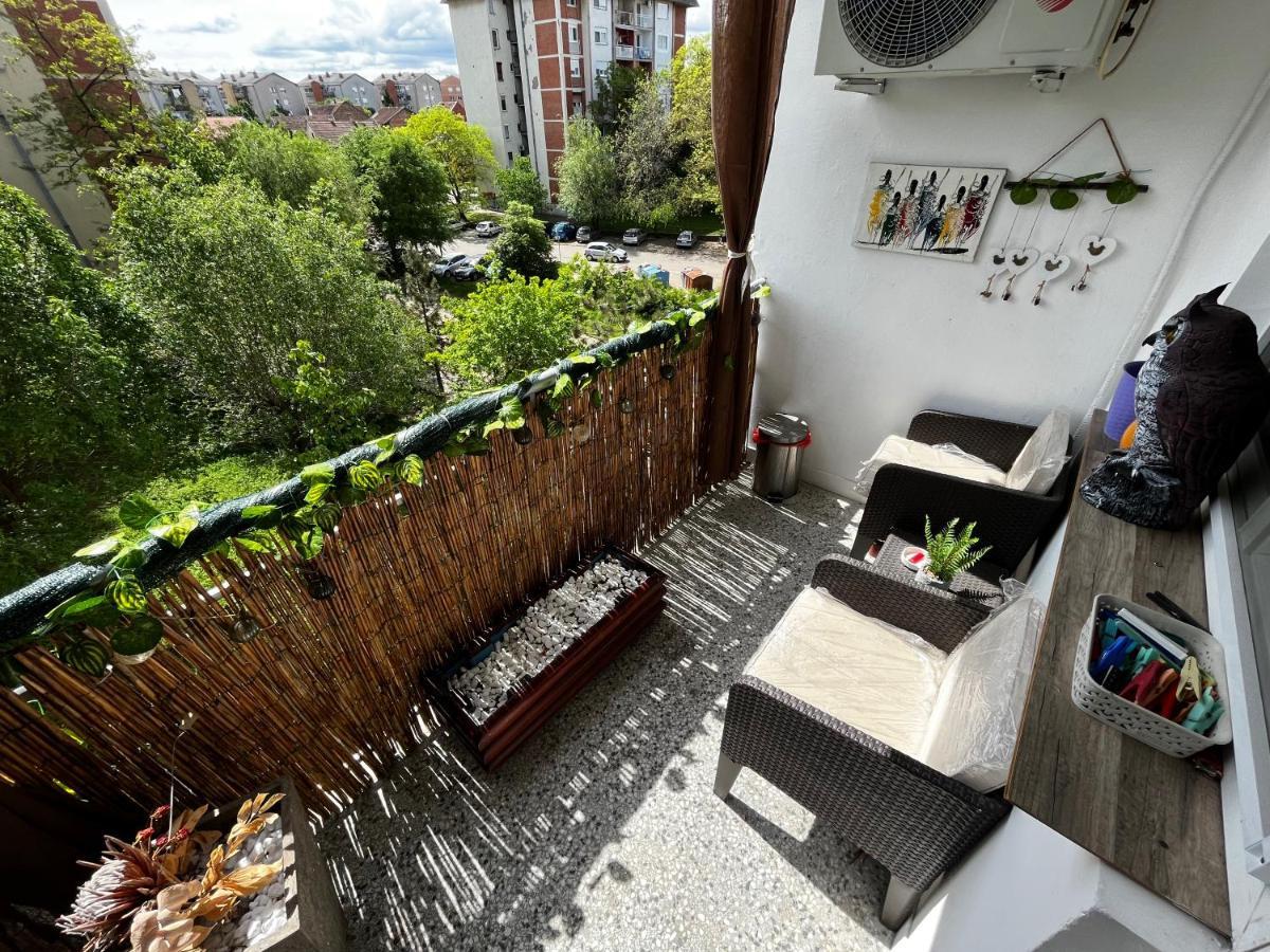 Appartement Sova à Vrsac Extérieur photo