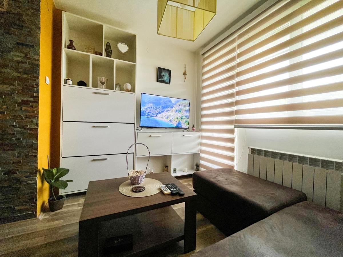 Appartement Sova à Vrsac Extérieur photo