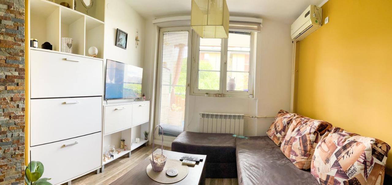 Appartement Sova à Vrsac Extérieur photo