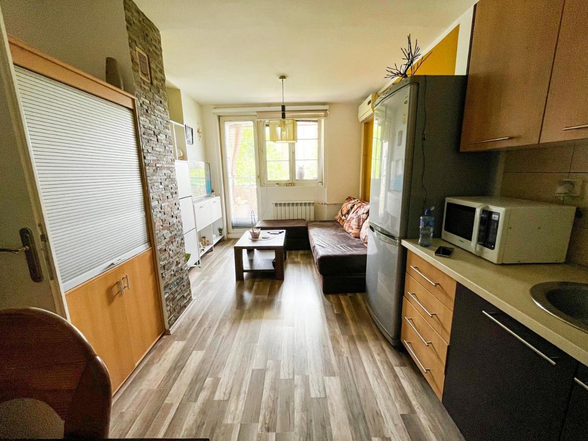 Appartement Sova à Vrsac Extérieur photo